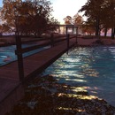 Thumb 50972b451be2300295000001