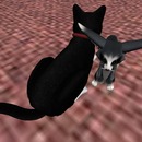 Thumb 512fc413ef148a6a05000001