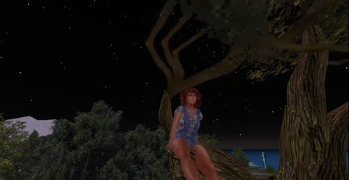 Web 50515eea3eefce27d0000001