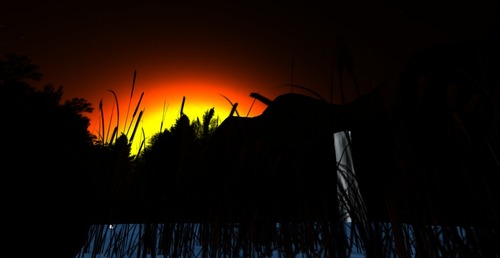 Web 5051627d062c110f33000001