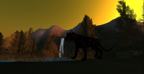 Web 505162d9fcbaef2161000001