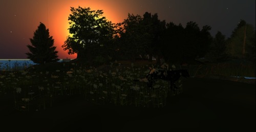 Web 505163883652623946000001