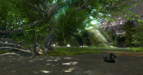 Web 5095aea796edce20db000001