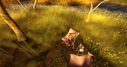 Web 5095b992d6f6e62e3f000001