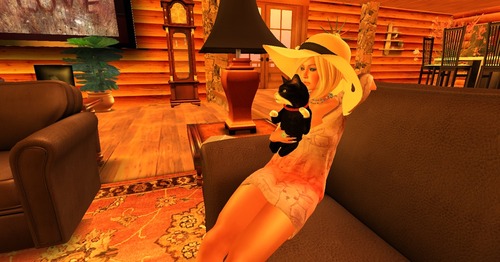 Web 509c01513397771475000001