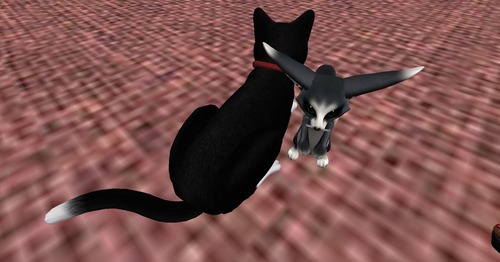 Web 512fc413ef148a6a05000001