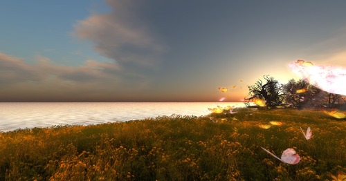 Web 5134e83100418838a6000001