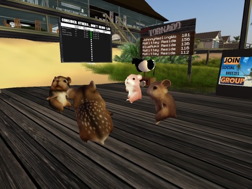 Web 51d514eb46bd8407f6000001