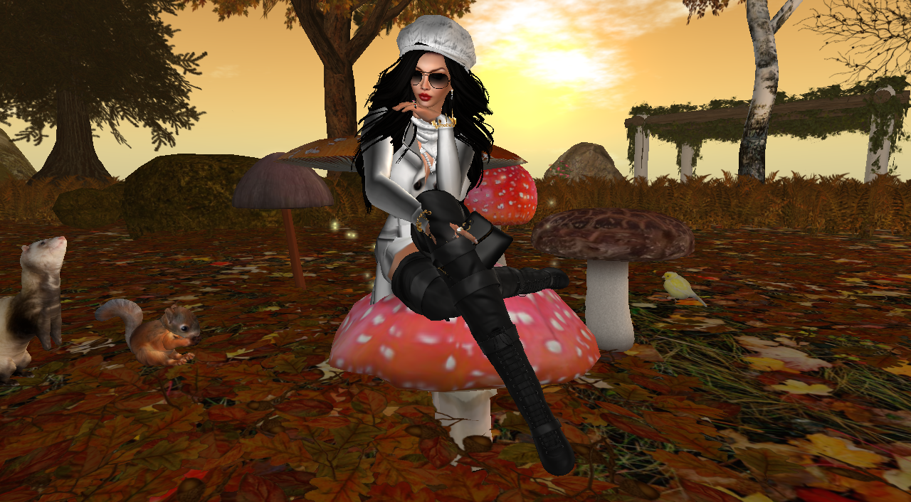 Original 5442a4c0128cc96ead000001