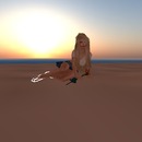 Thumb 4f94bf2e5509285c51000001