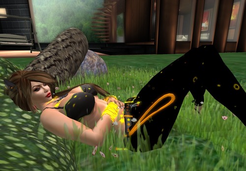 Web 515e56c2dbdd980192000001