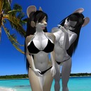 Thumb 548432a0f8a1ec283b000001