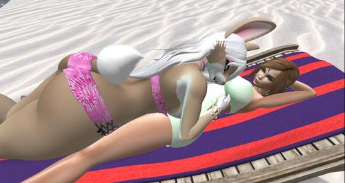 Web 5bf8ee04d9859c47aa000001