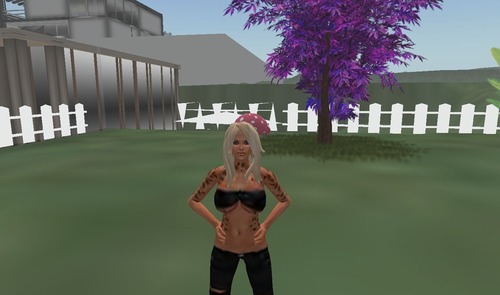 Web 4f6647d8a03d753654000001