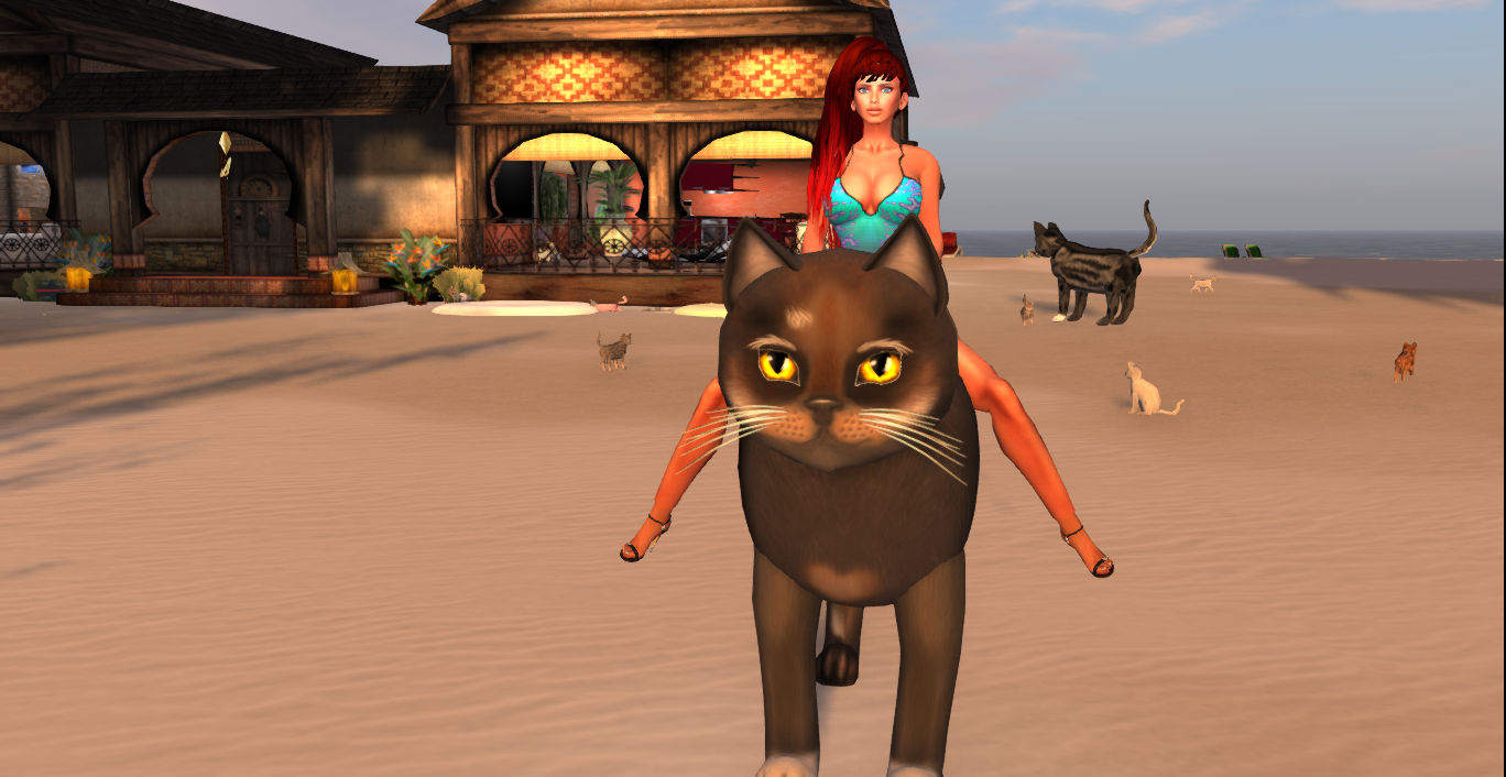 Original 53b6b7b2f8a1ec1cf7000001