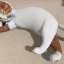 Thumb 555c8fce8da57216a1000001