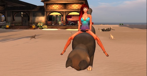 Web 53b6b9008da5726c72000001