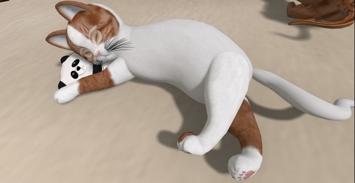 Web 555c8fce8da57216a1000001