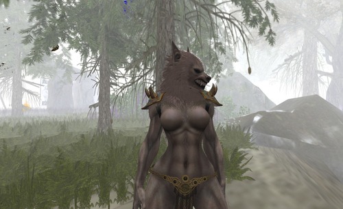 Web 554ca187f8a1ec11cf000001