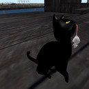 Thumb 4ffc95668918065a08000001