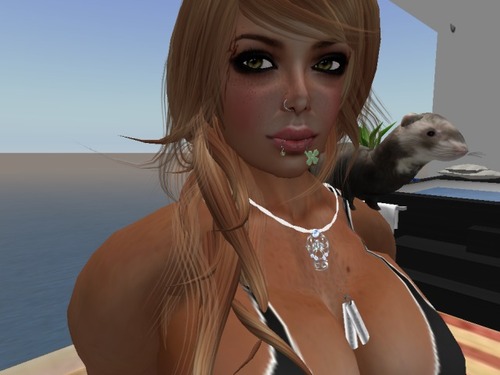 Web 5032a989a8cc597809000001