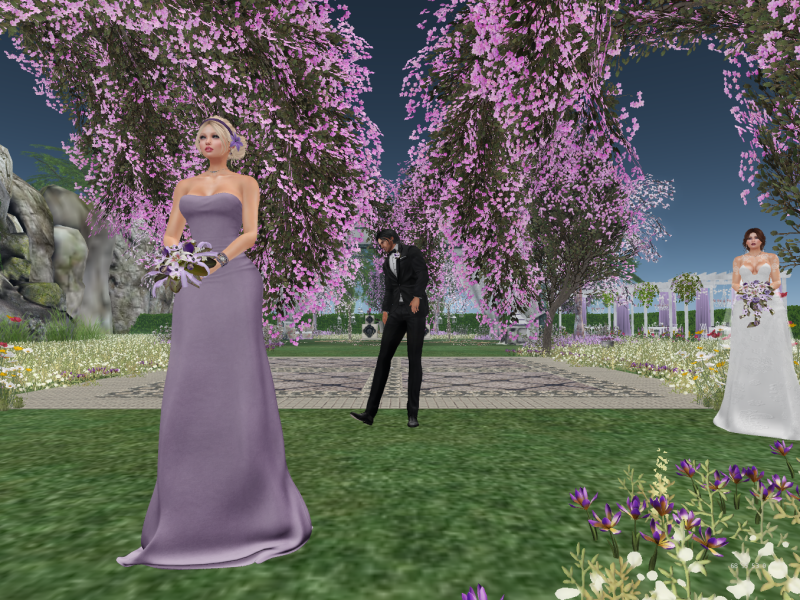 Original 5c71cd86289dd2025b000001