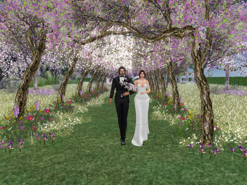 Original 5c71ce3ad774f87115000001