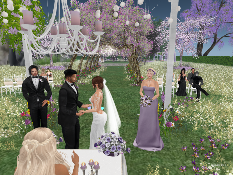 Original 5c71cedcd9859c40cc000001