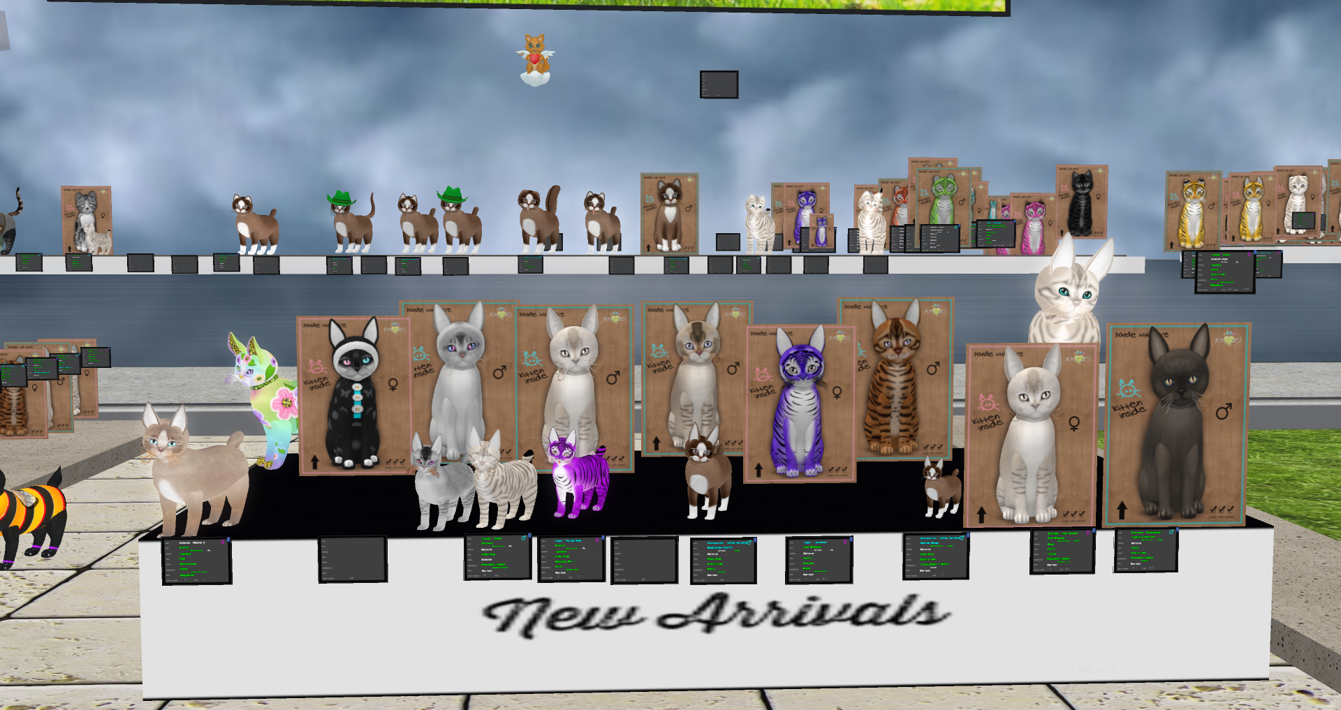 Original 5cbed9cf289dd2035c000001