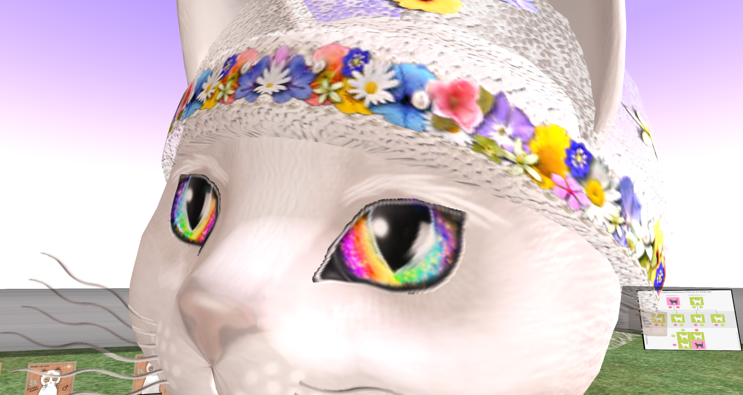 Original 6140ace999d9b47c47234799