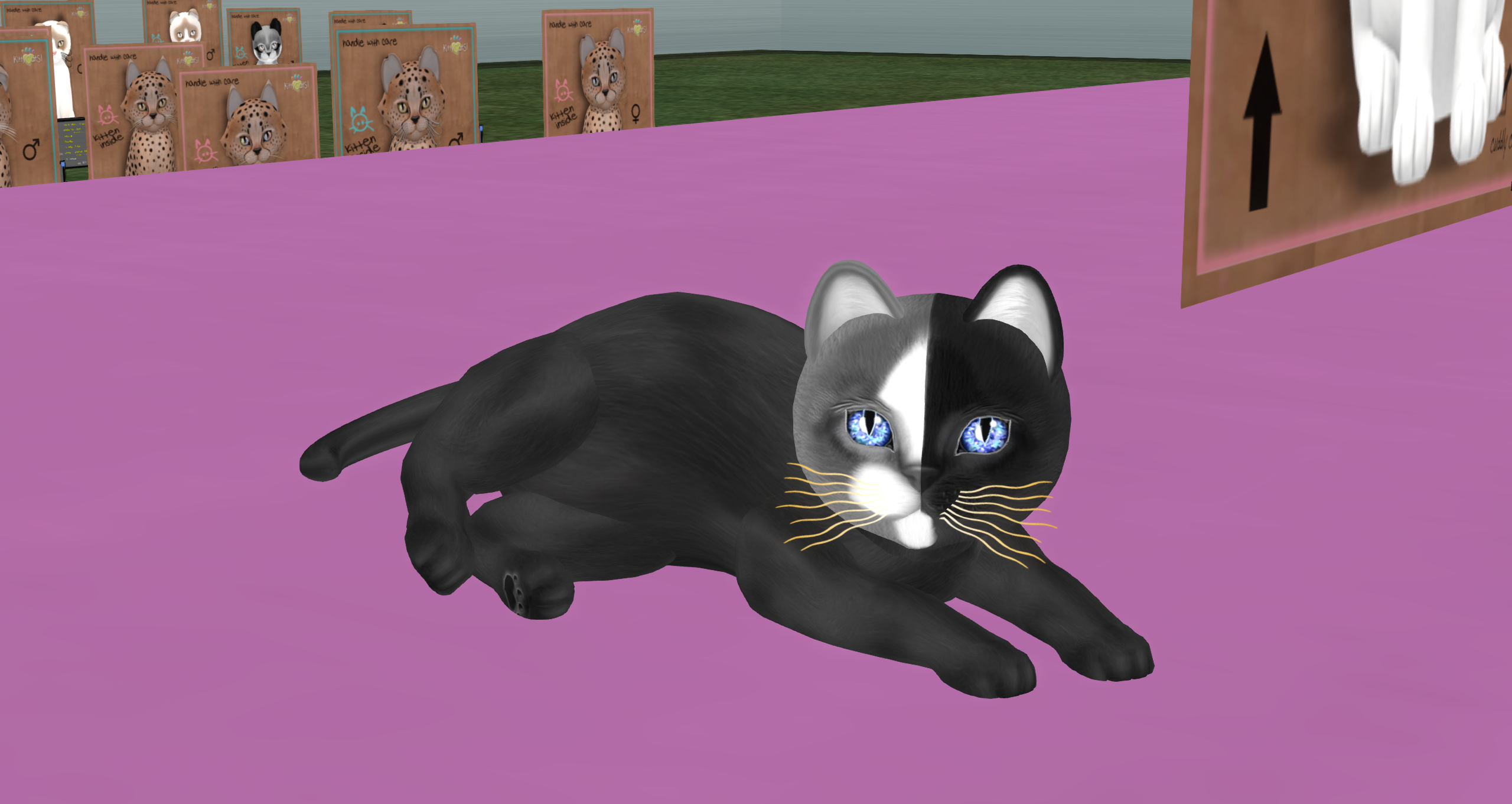 Original 617d94c1e600be4e46acc983