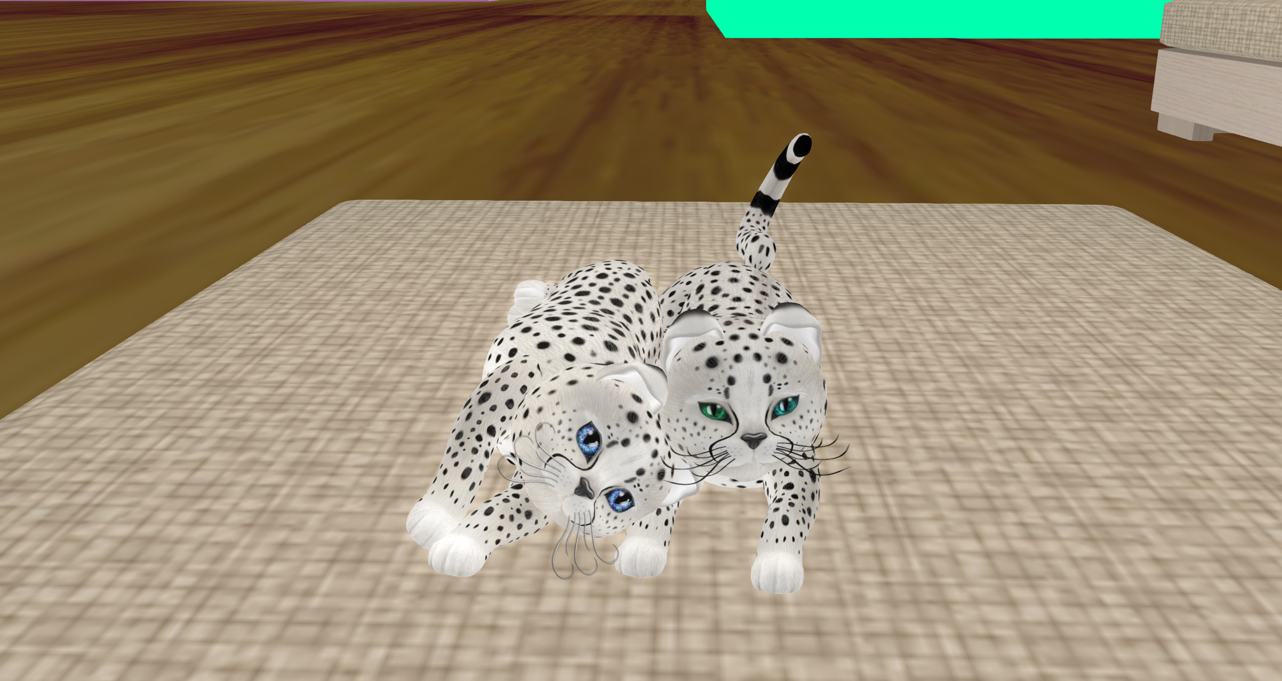 Original 62502bbe98ed955858895231