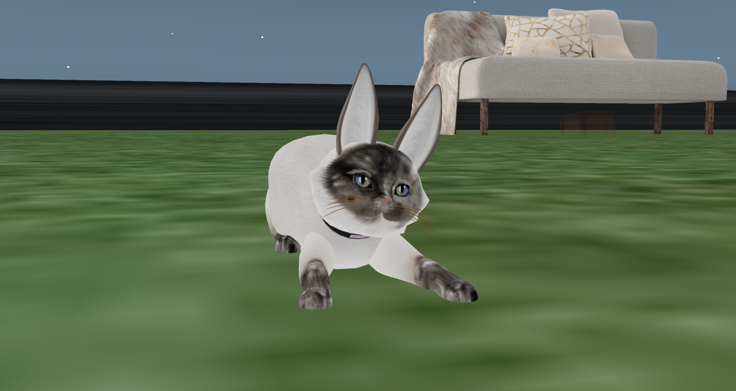 Original 62b1b4787cb0c76098c9d405