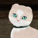 Thumb 59d96cd9d774f84814000001