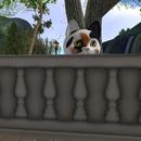 Thumb 59dd3c7dd774f866ce000001