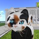 Thumb 59e0329873ed171e75000001