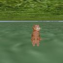 Thumb 59e08bcad774f84d05000001