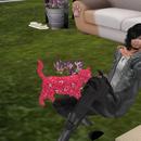 Thumb 5b9d952c289dd25450000001