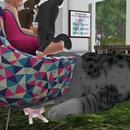 Thumb 5ba1cd3ed774f83724000001