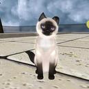 Thumb 5c87ce56289dd25765000001