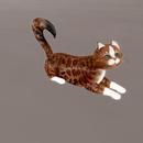 Thumb 60daf58275c791192d02578a