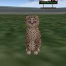 Thumb 60dc79b7ccc4a81e9ba5e854