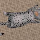 Thumb 60f7343ed5c0172babf8a26c