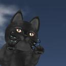 Thumb 6104e0722034f8698072bb16