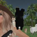 Thumb 61e5b965e5e99f66e4b5078b