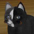 Thumb 62092cb1ea5e0e6d1bbe1aa9