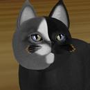 Thumb 62092cbcea5e0e6dfbbe1aa9