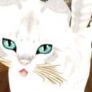 Thumb 621cd946b085a4619ded4a29