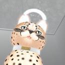 Thumb 622ddfc598366d7624423edf