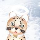 Thumb 622de03398ed9563f8895231